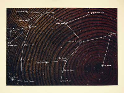 Many hand-written names in white ink are connected by white lines in a constellation pattern. The background is a uniform dark pattern of expanding and contracting rings, like a tree. 